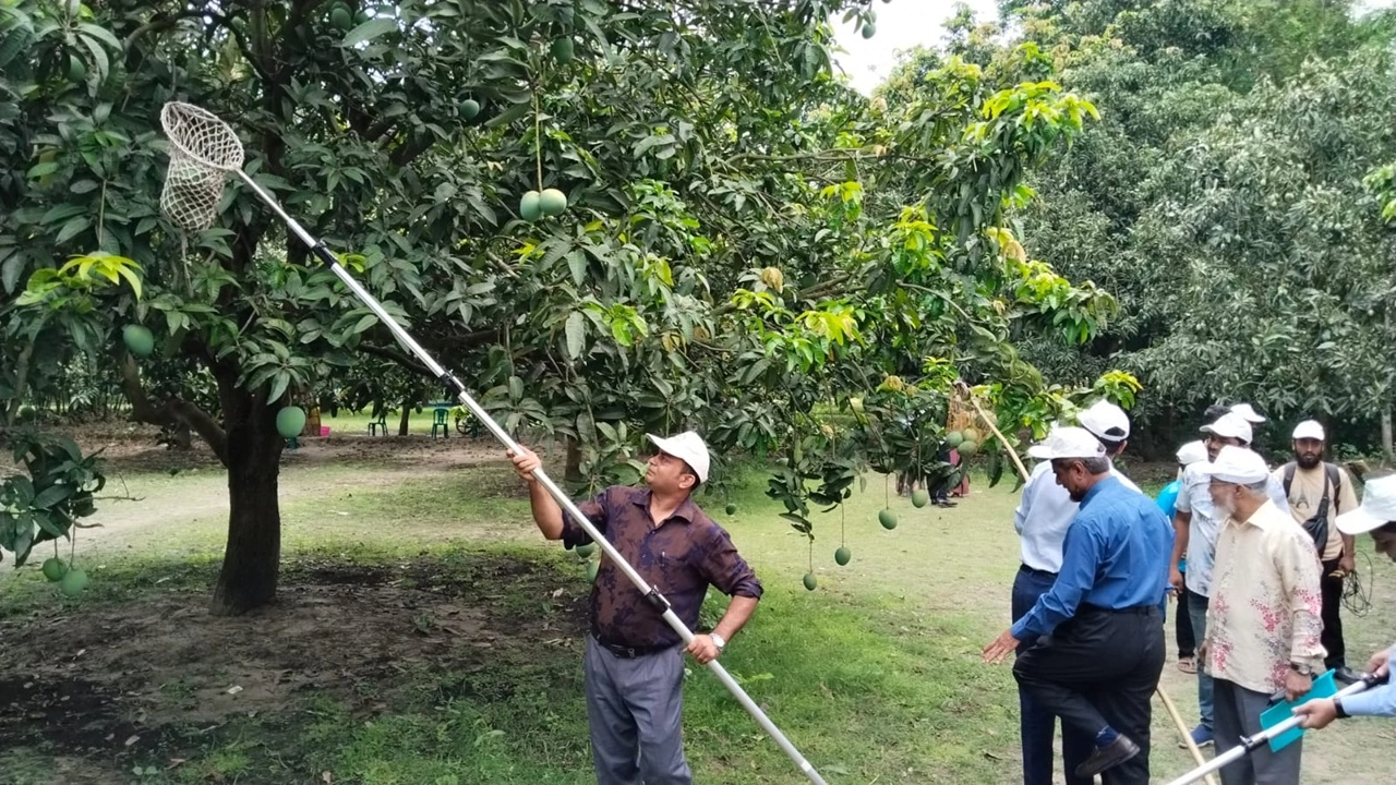 ছবি: এনপিবি নিউজ
