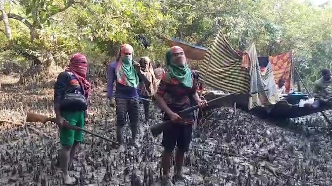 সুন্দরবনে বাড়ছে বনদস্যু 