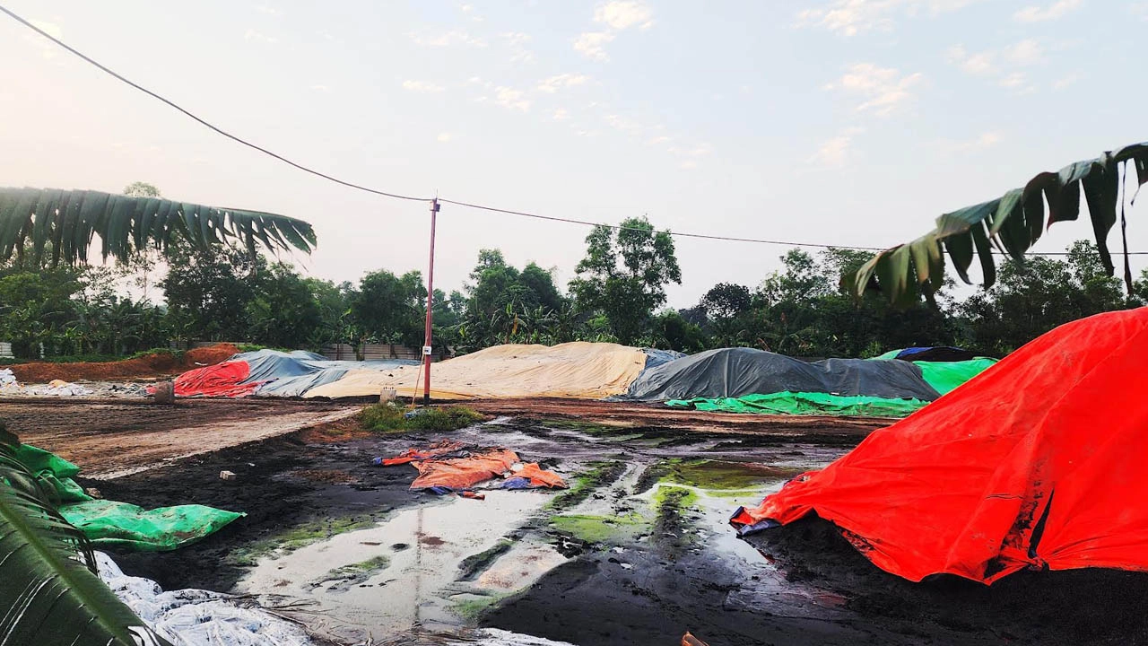 ঘাটাইলে বিষ্ঠার দুর্গন্ধে দিশেহারা গ্রামবাসী