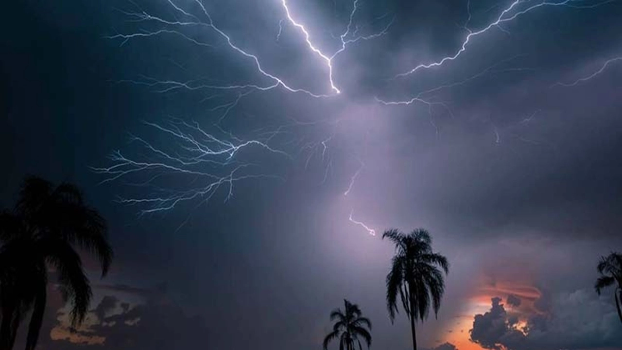 ছবি সংগৃহীত