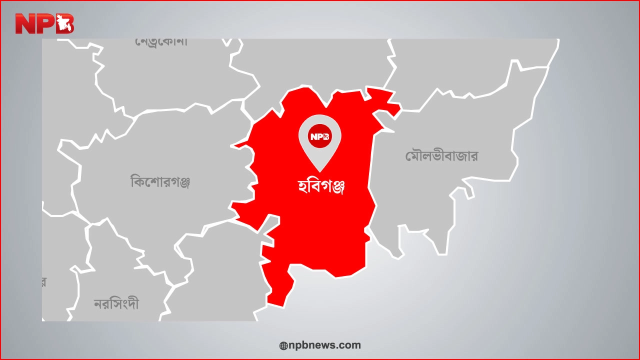 এনপিবি গ্রাফিক্স