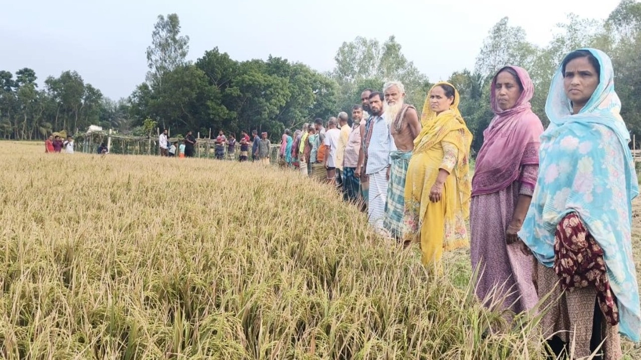 ফাইল ছবি