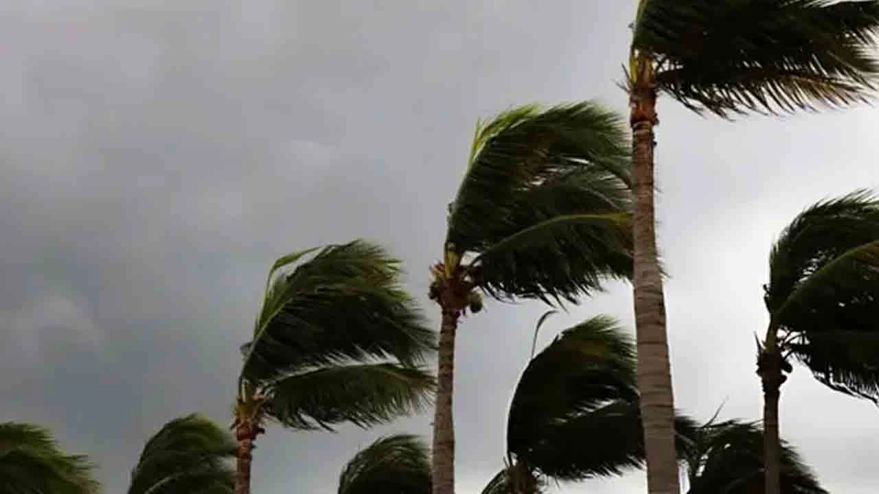 সন্ধ্যার মধ্যে ঢাকাসহ যেসব জেলায় ঝড়ের শঙ্কা