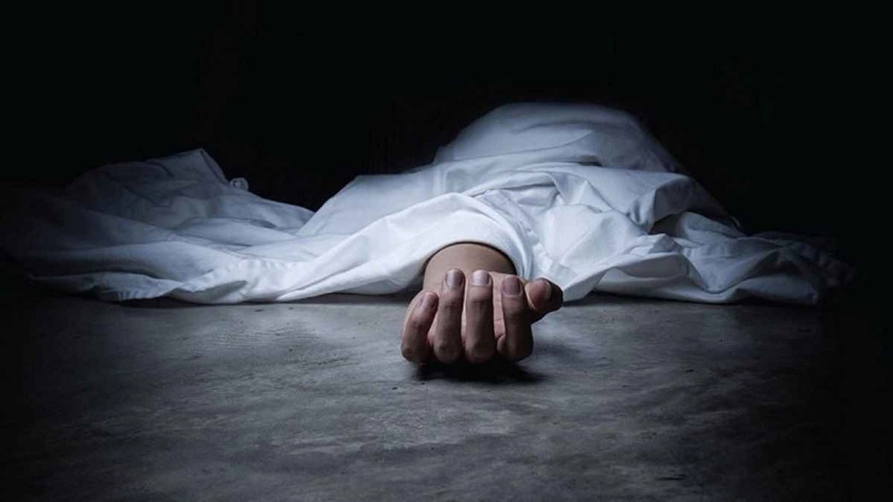 ছবি সংগৃহীত