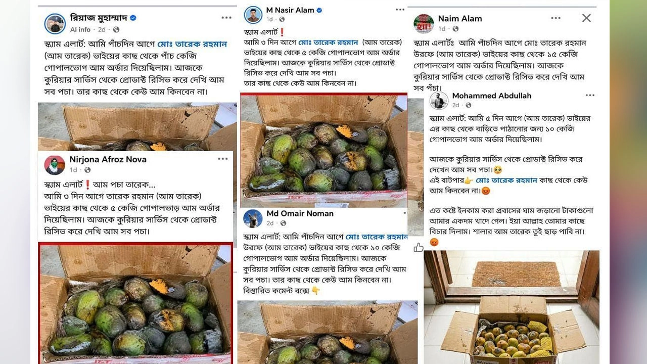 ছবি : দ্য ডিসেন্ট