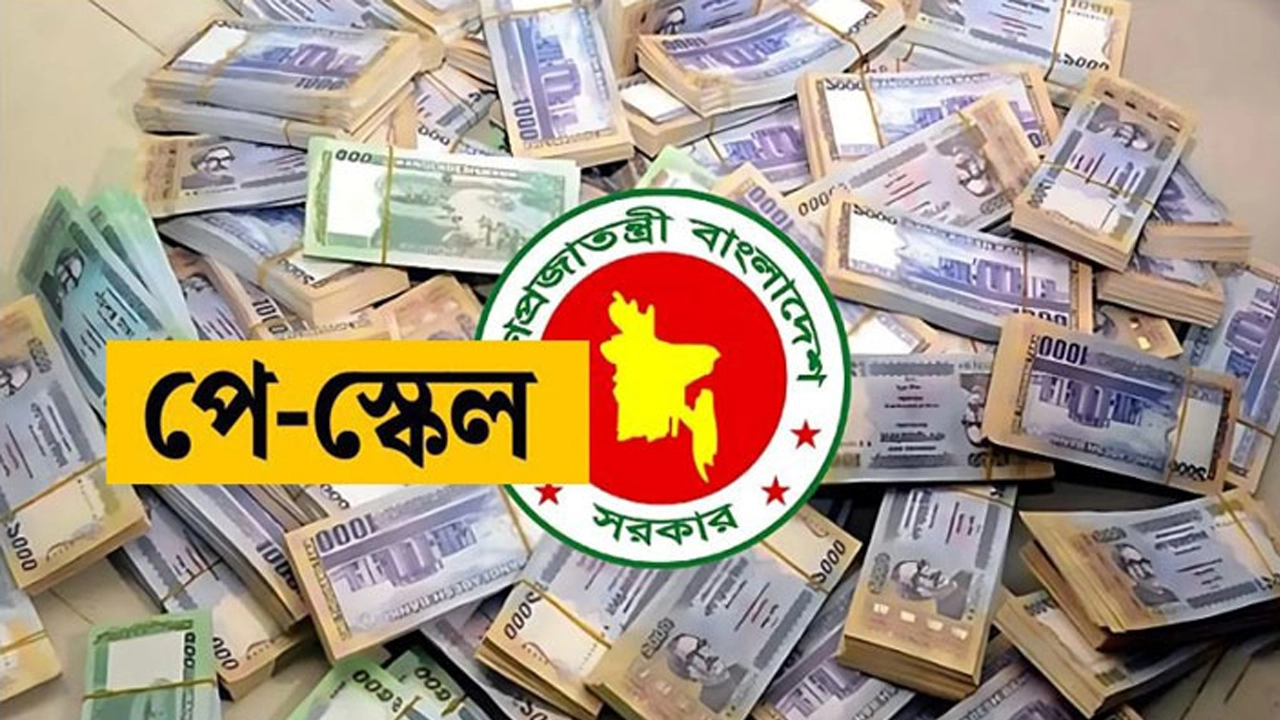 ফাইল ছবি