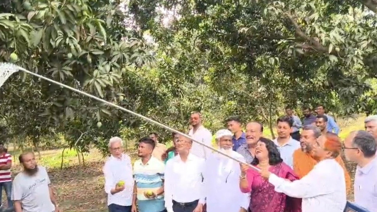 ফাইল ছবি