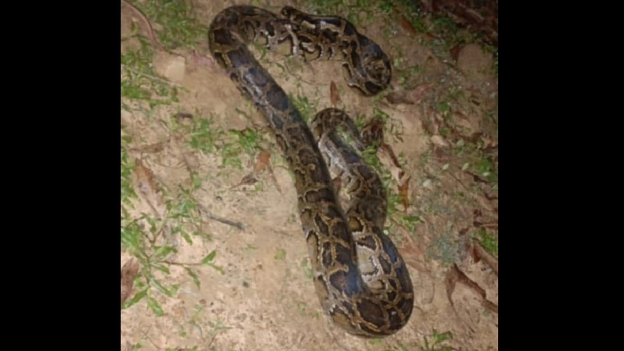 ছবি সংগৃহীত