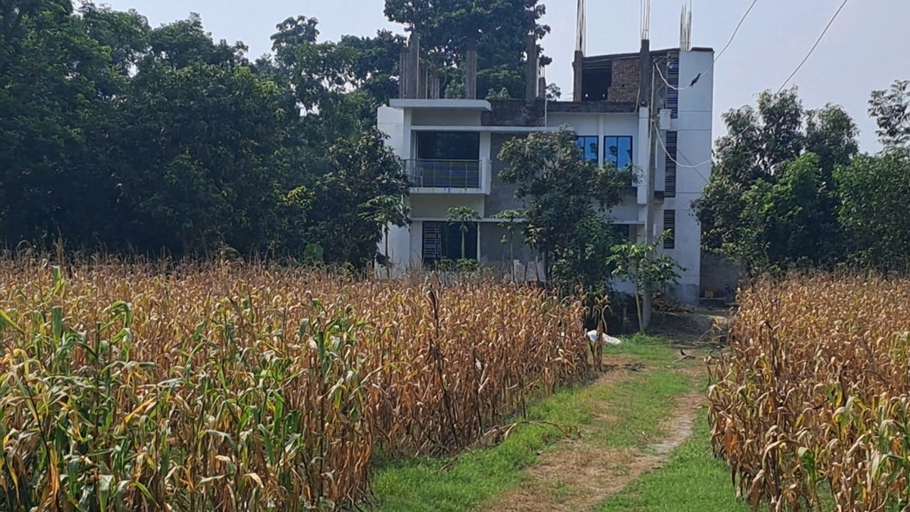 ছবি সংগৃহীত