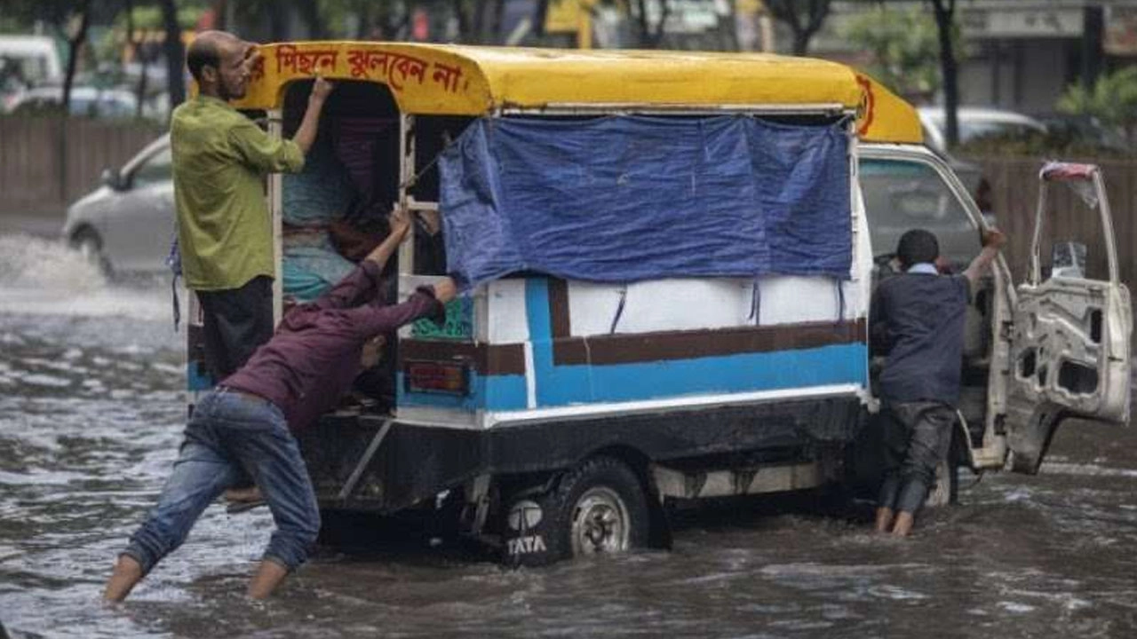 ছবি: এনপিবি নিউজ
