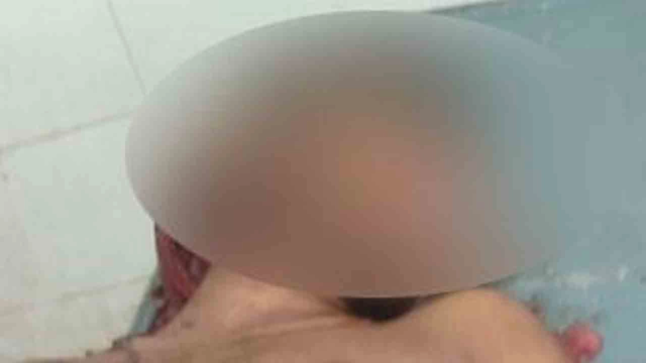 সংগৃহীত