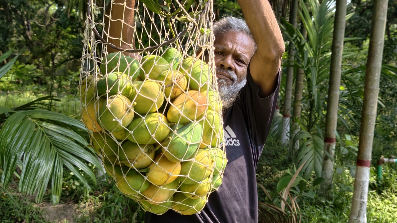 ছবি: এনপিবি নিউজ