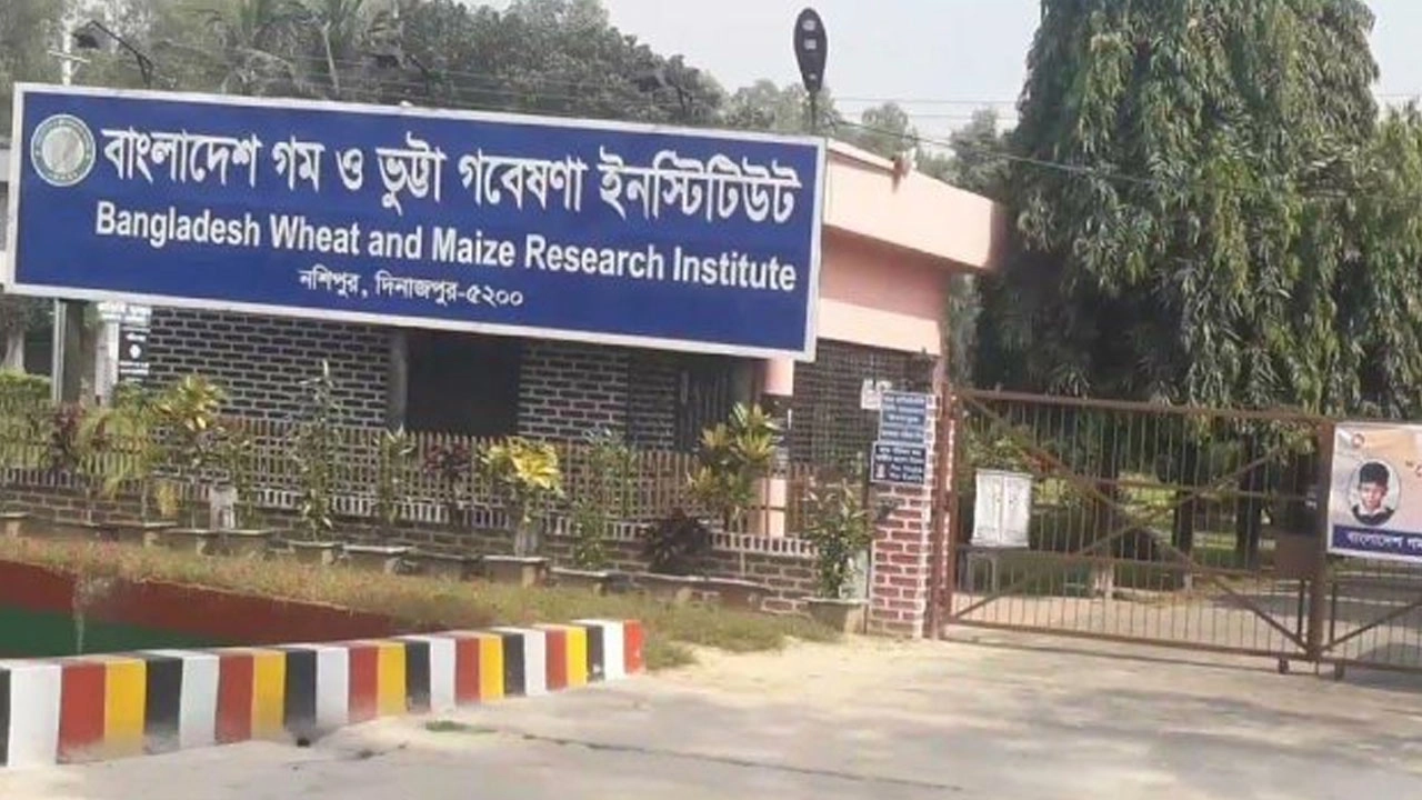 রুটি-রুজি হারানোর শঙ্কায় ৩৫ পরিবার, বিডব্লিউএমআরআই কর্মীদের নিরাপত্তা দাবি