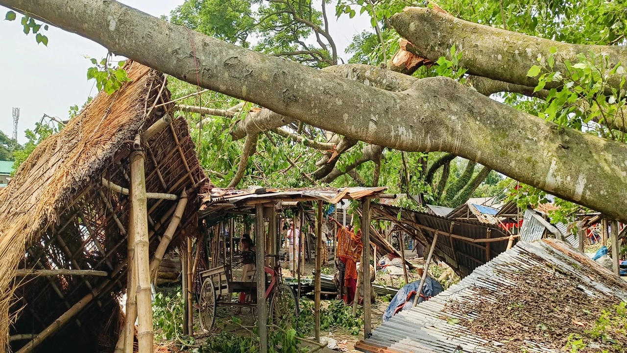 ছবি: এনপিবি নিউজ