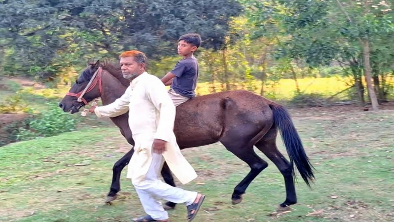 সখীপুরের আবুল হাসেম