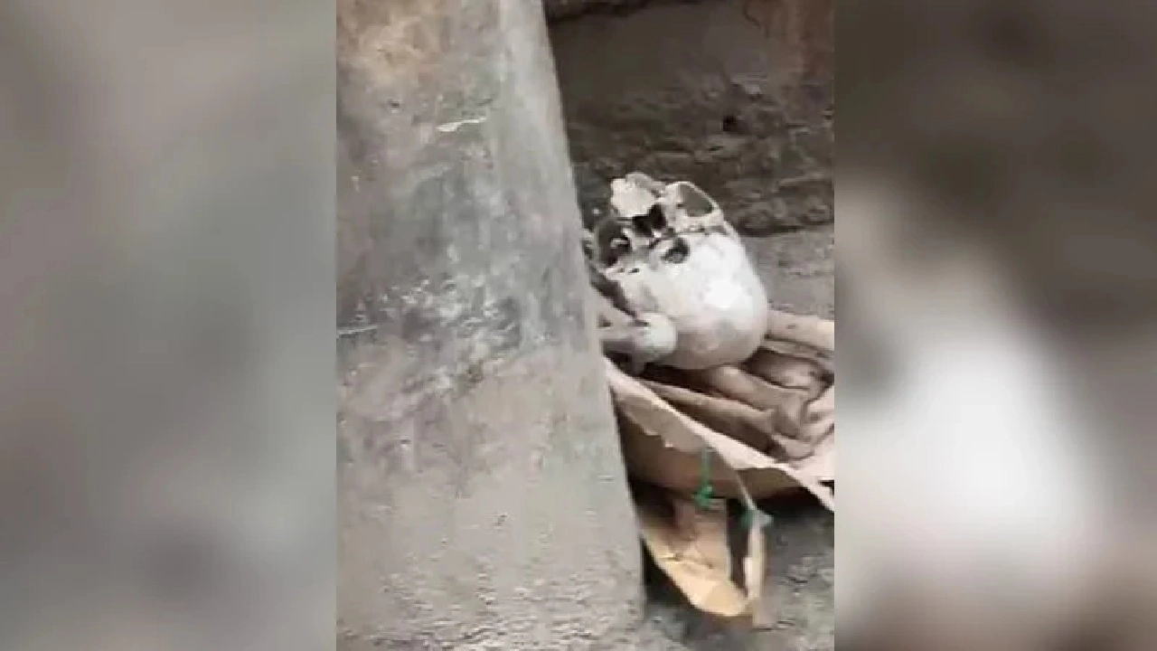ছবি সংগৃহীত