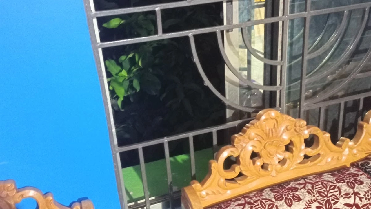 ছবি সংগৃহীত