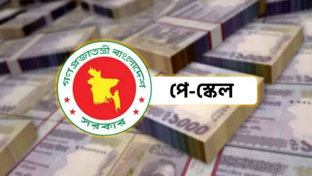 ফাইল ছবি