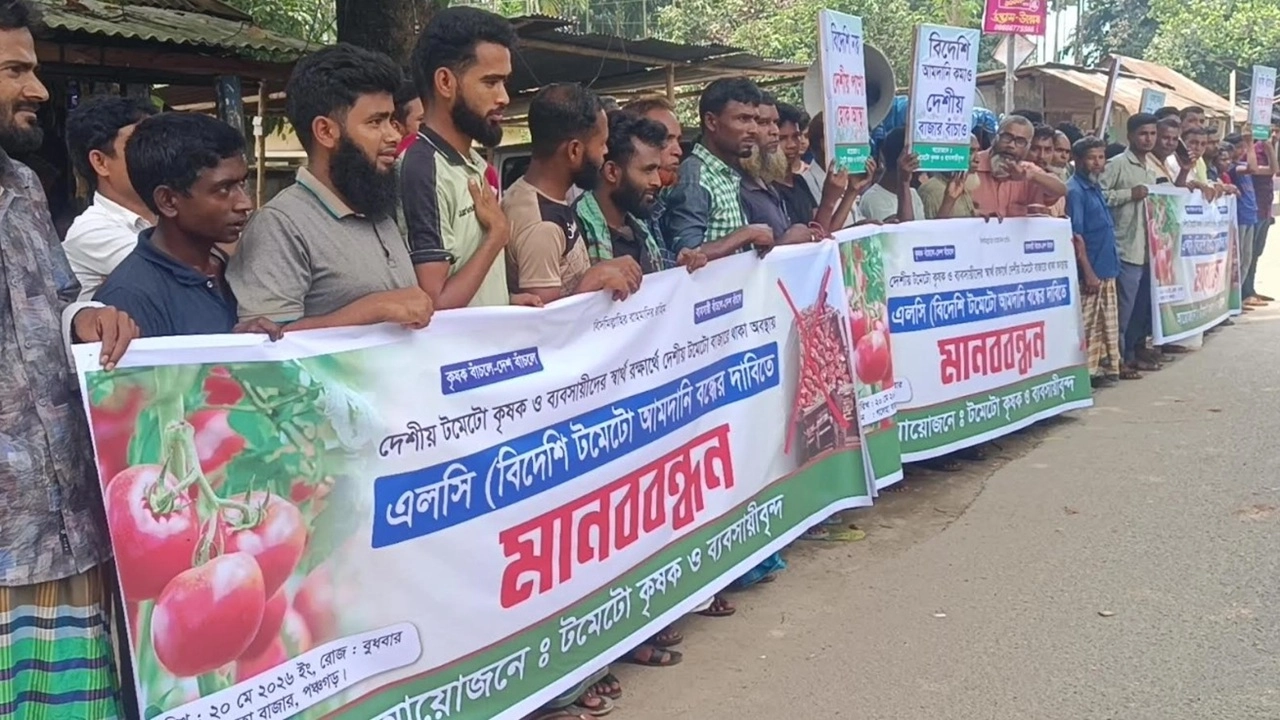 পঞ্চগড়ে বিদেশি টমেটো আমদানী বন্ধের দাবিতে চাষিদের মানববন্ধন