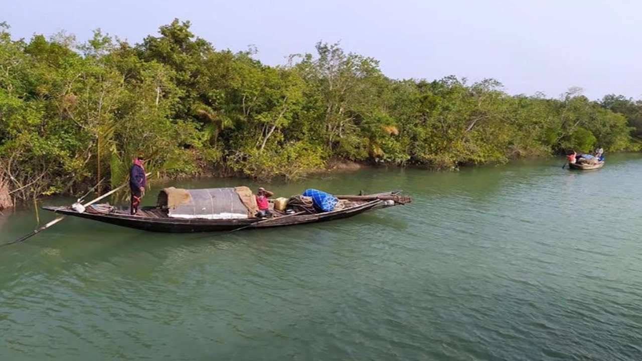 বনদস্যুদের আটকে চলছে অভিযান