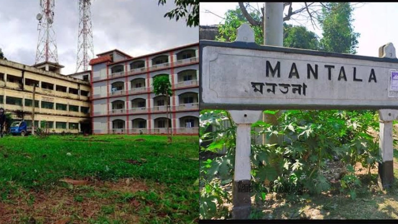 ছবি সংগৃহীত