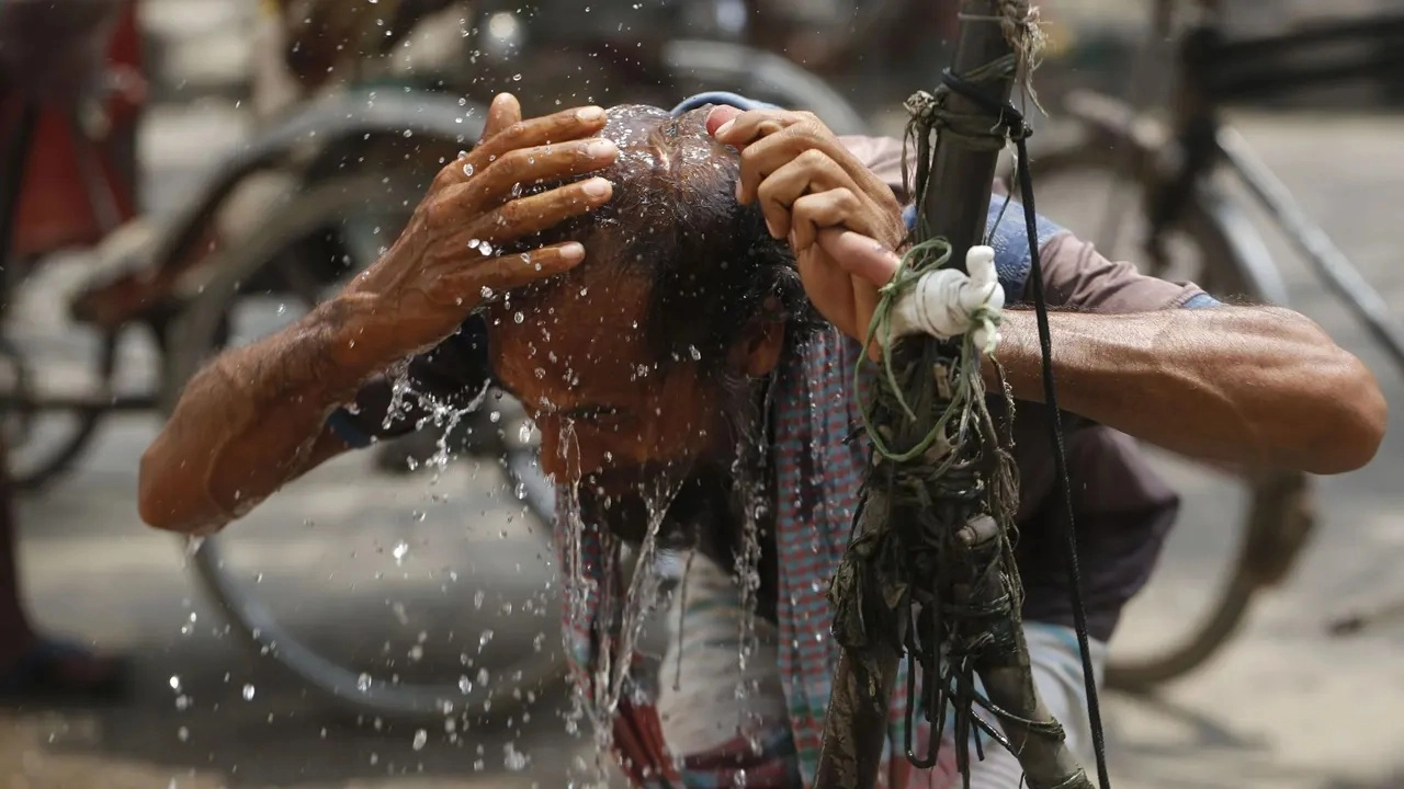 ছবি সংগৃহীত