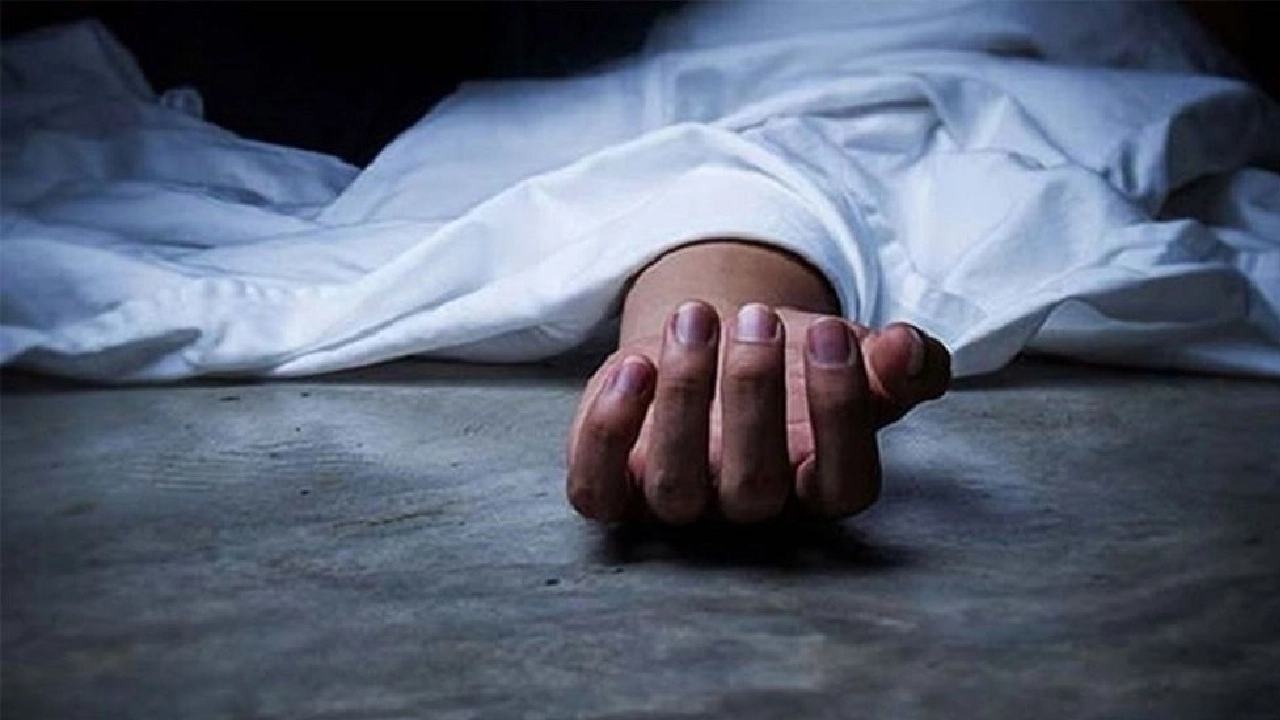 ছবি সংগৃহীত
