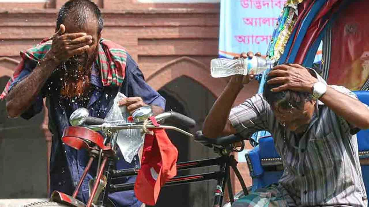 ফাইল ছবি