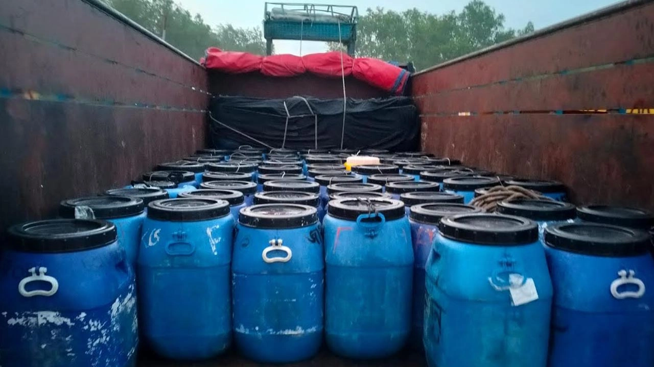 জব্দকৃত বাগদা চিংড়ির রেণু।
