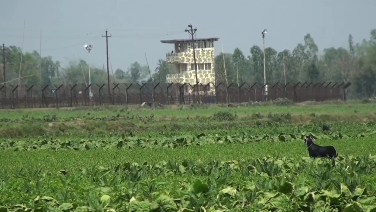বাংলাদেশ-ভারত সীমান্ত ।। ফাইল ছবি