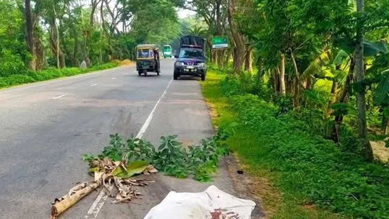 ছবি সংগৃহীত