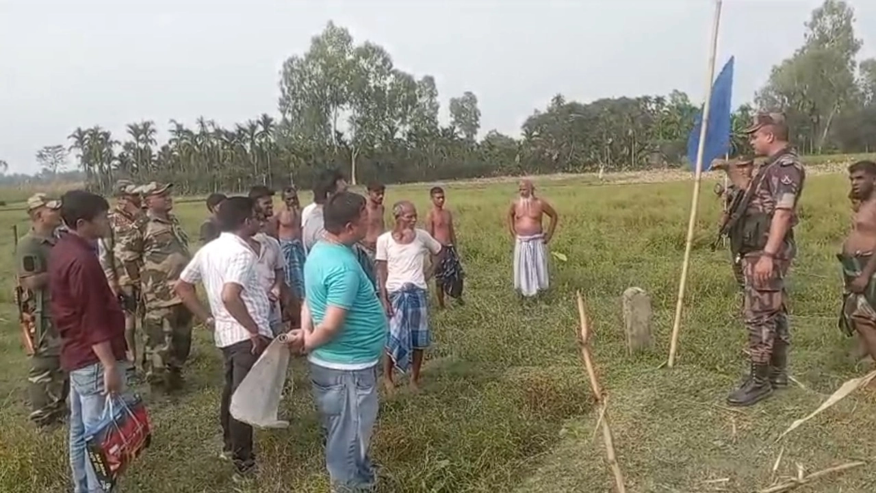 ছবি সংগৃহীত