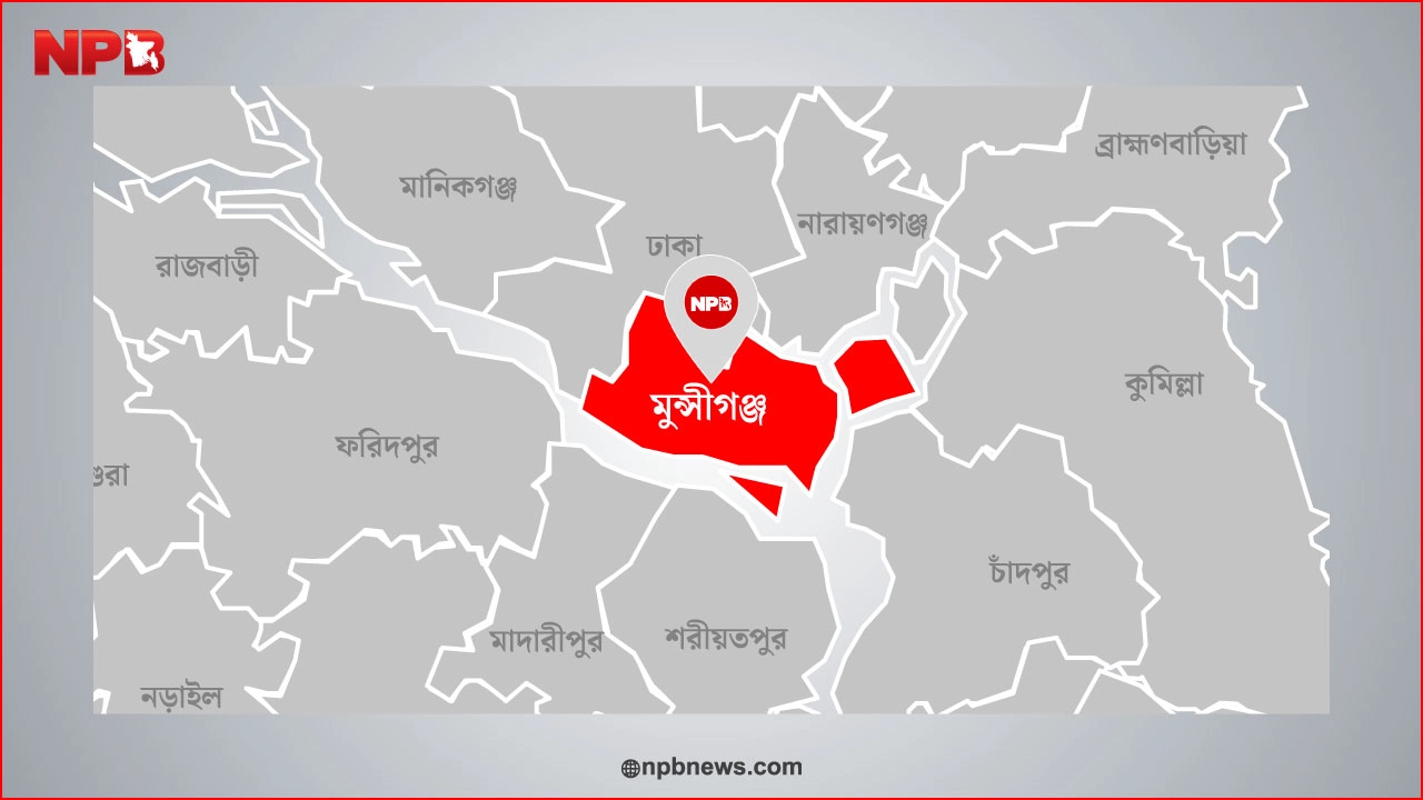 এনপিবি গ্রাফিক্স