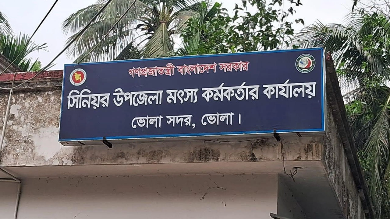 ছবি: এনপিবি নিউজ