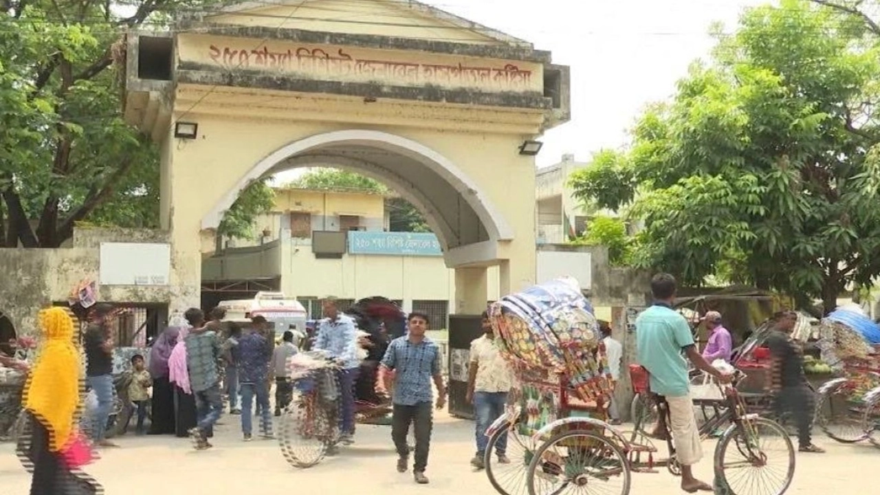 ফাইল ছবি