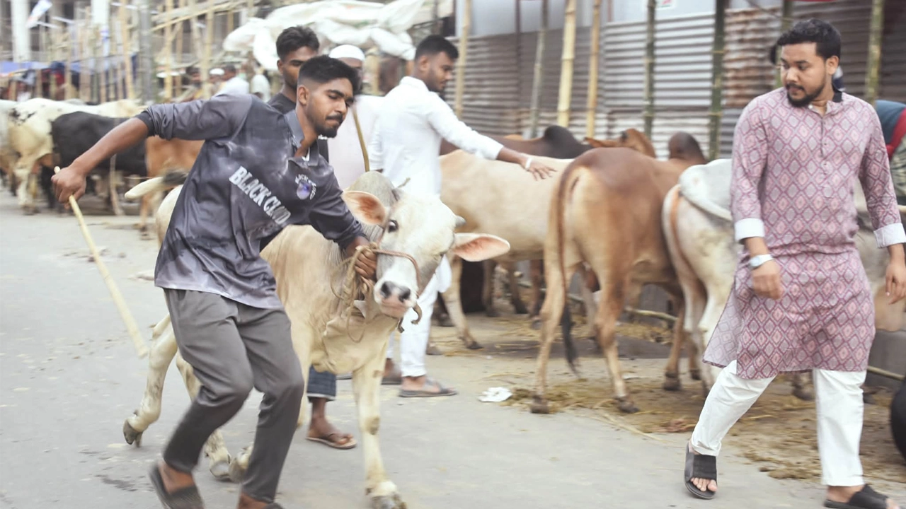 ছবি সংগৃহীত