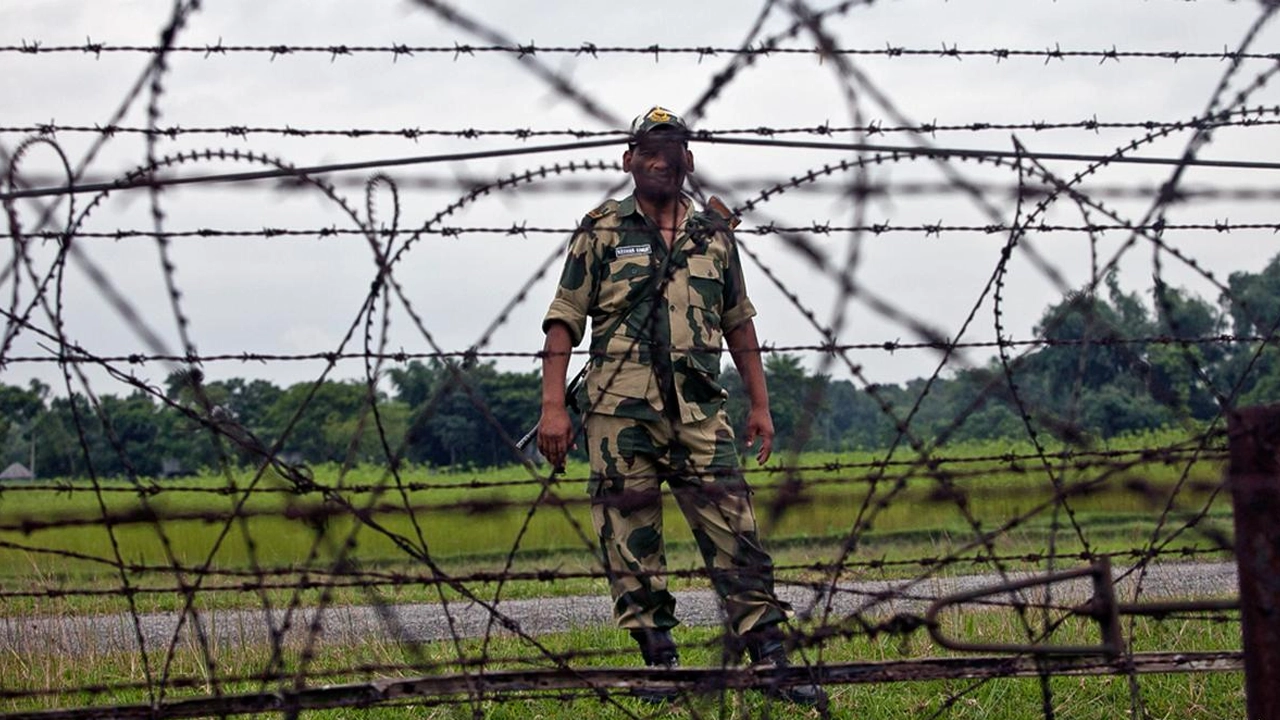 সংগৃহীত ছবি