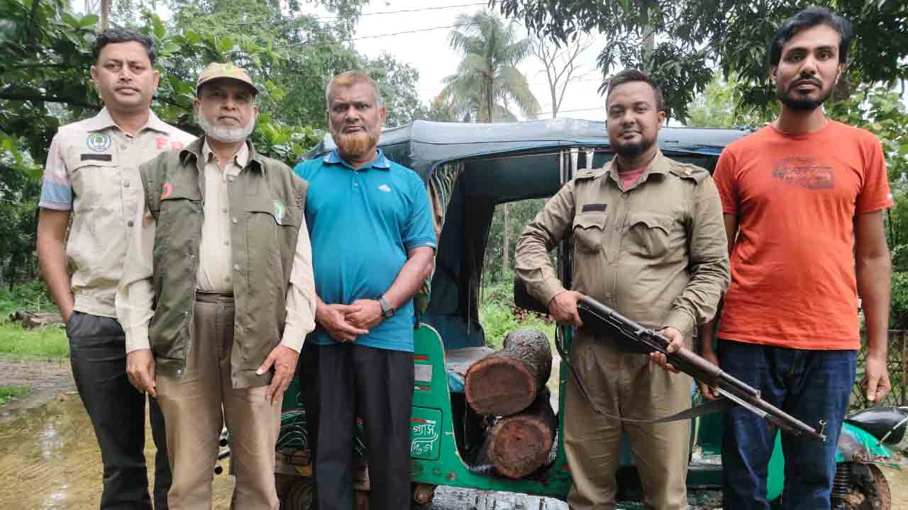 বন বিভাগের অভিযানে  সিএনজি অটোরিকশাসহ অবৈধ আকাশমনি গোলকাঠ জব্দ