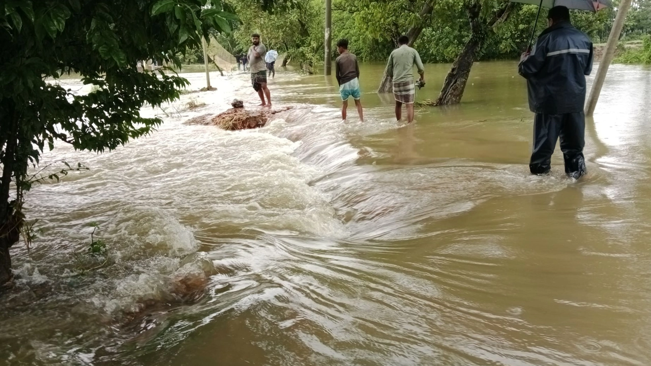ফাইল ছবি