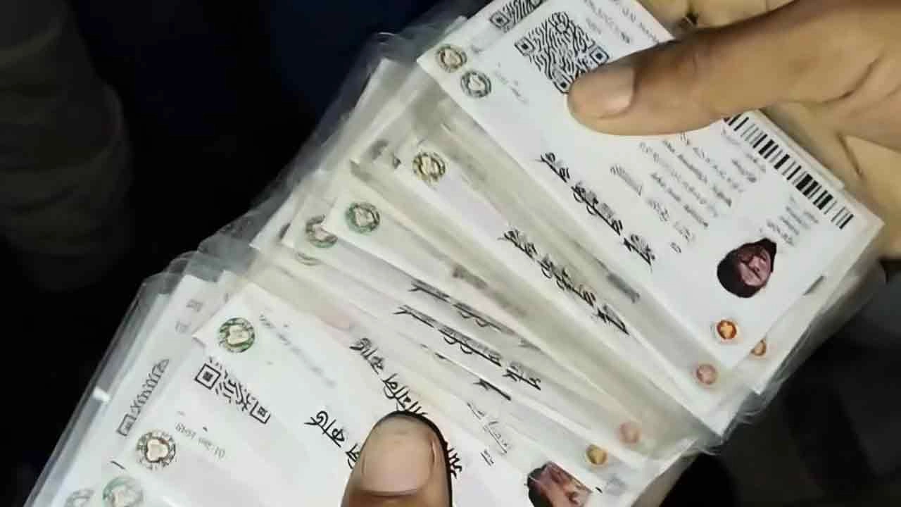 সংগৃহীত