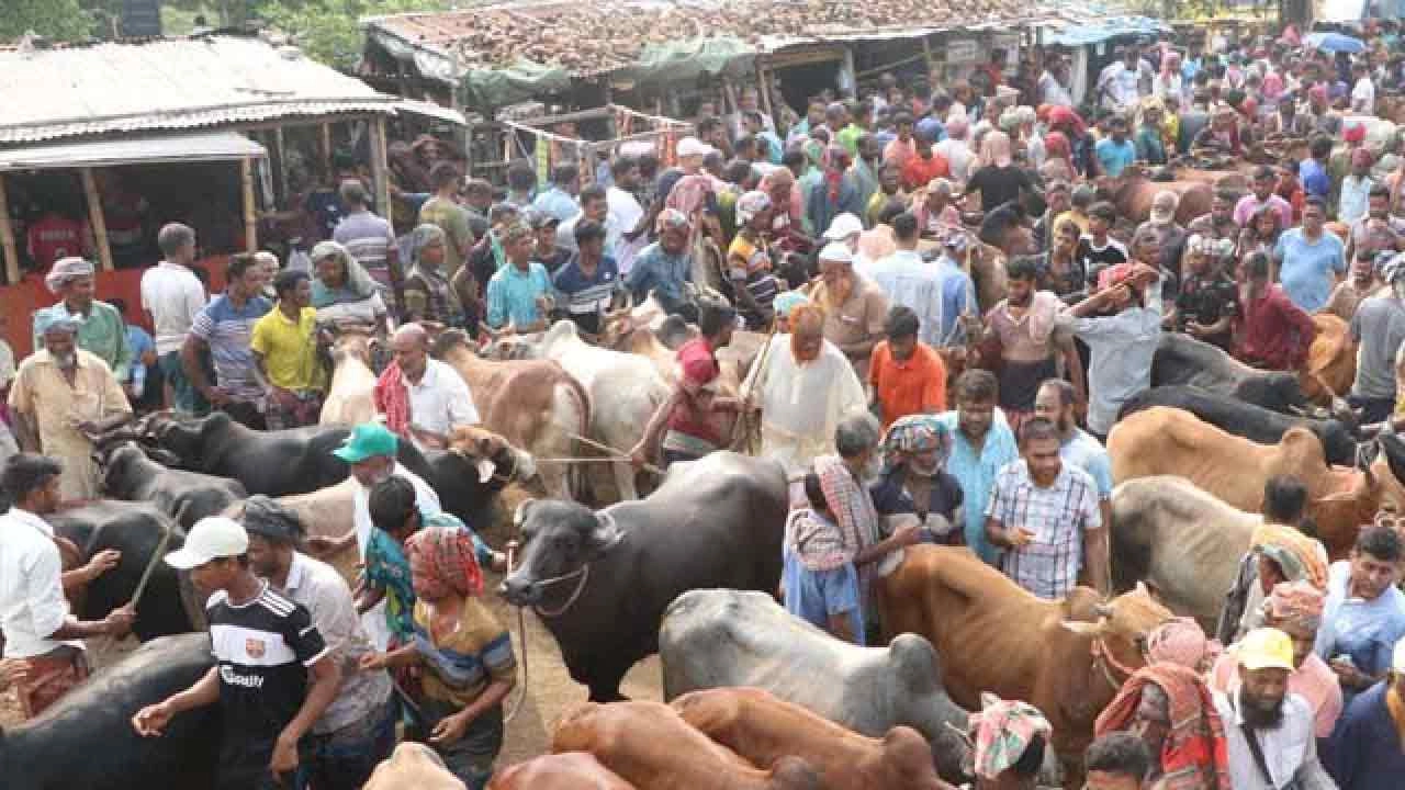 রাজশাহীর পশুহাট