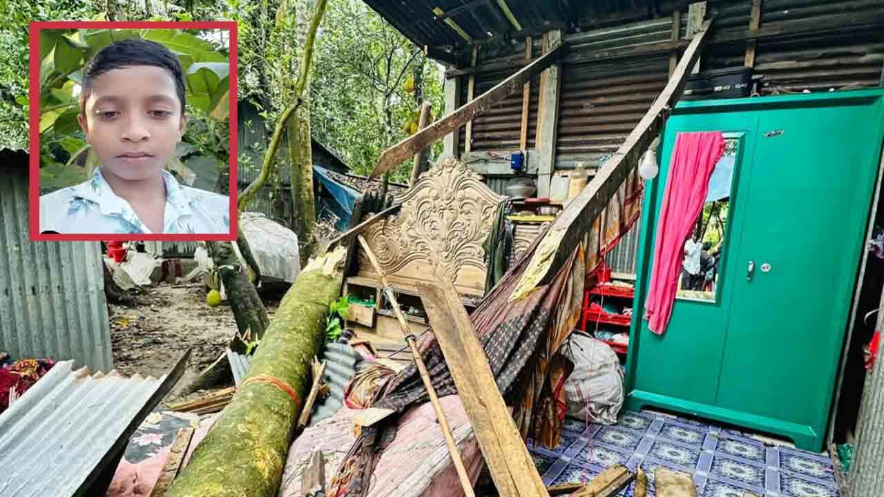 চাঁদপুরের মতলব উত্তরে ঝড়ে গাছ ভেঙে দুমড়ে-মুচড়ে যায় ঘরটি; ইনসেটে নিহত শিশু ফয়েজ।