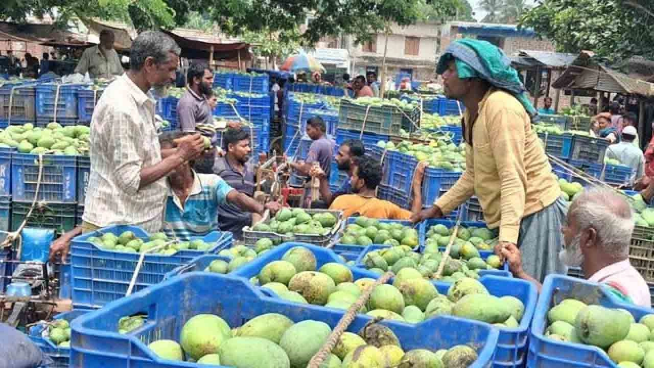 রাজশাহীর আমের বাজার