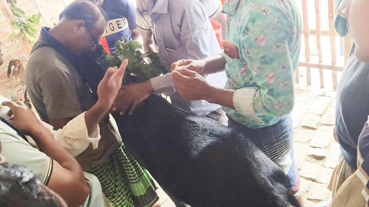 ছবি সংগৃহীত