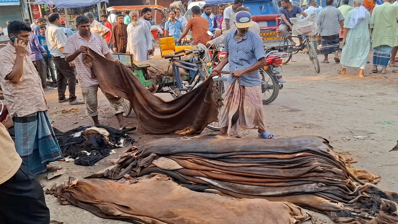 বগুড়ার চামড়া শিল্প