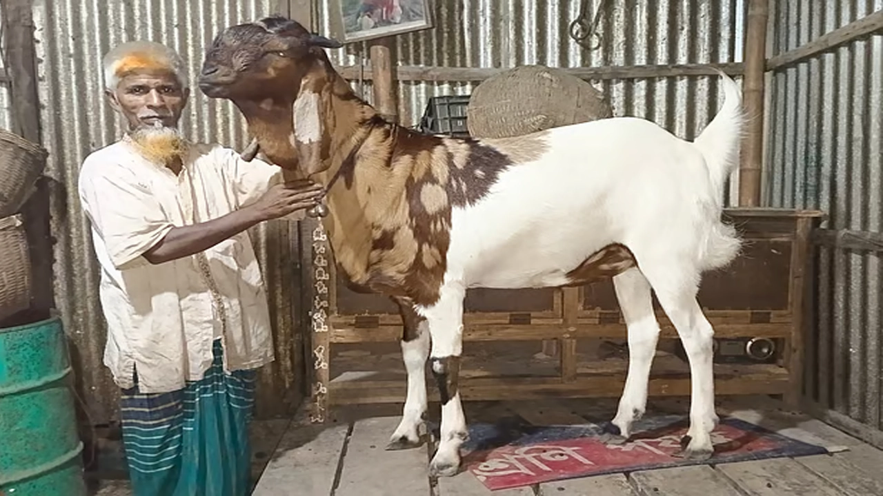 ছবি: সংগৃহীত