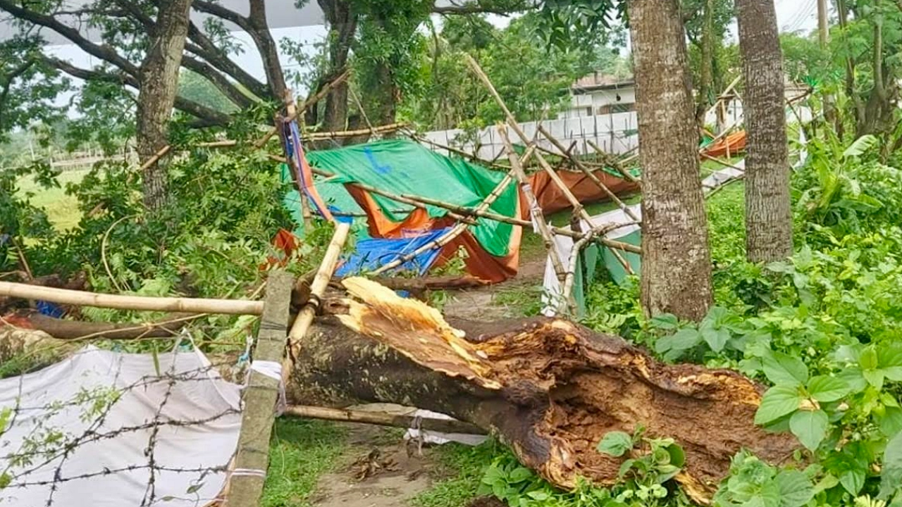 গাছচাপায় প্রাণ গেল শ্রমিক নেতার