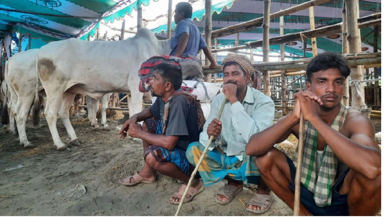 ছবি সংগৃহীত