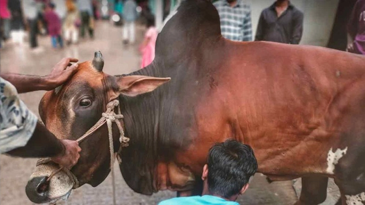 ছবি সংগৃহীত