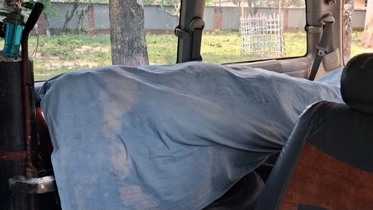 ছবি সংগৃহীত